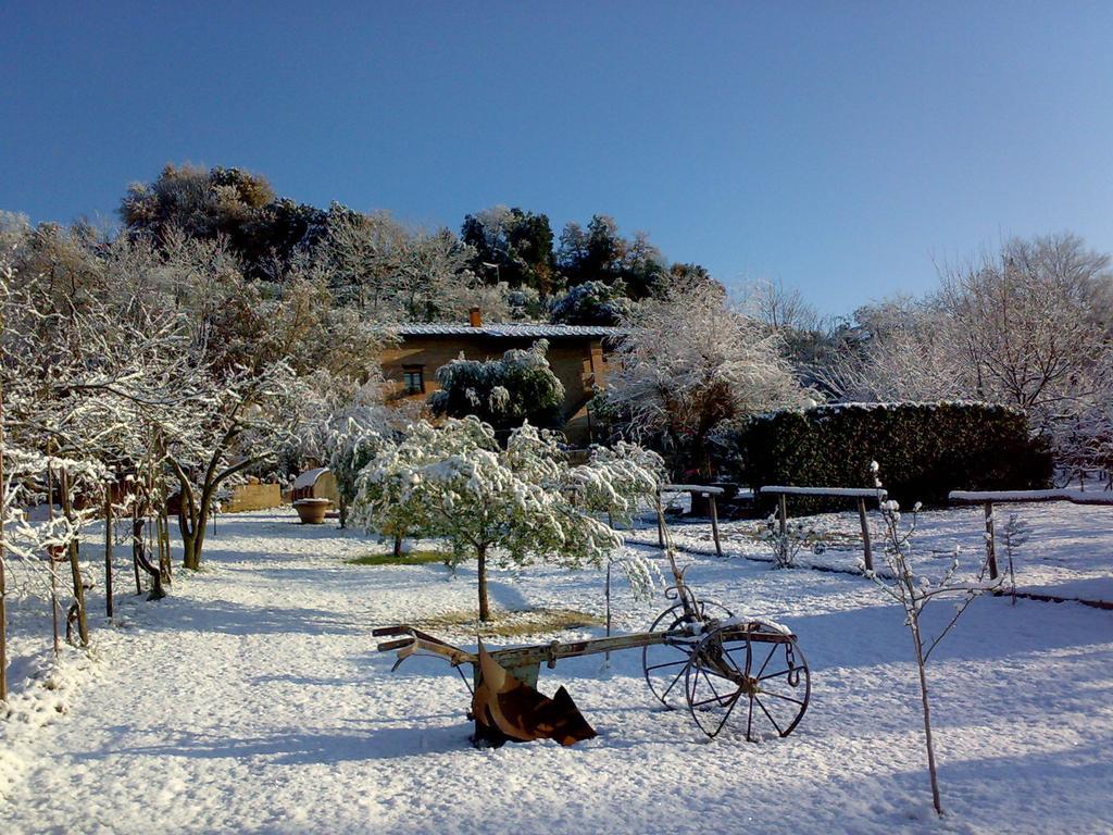 Podere Il Pero Siena Zewnętrze zdjęcie